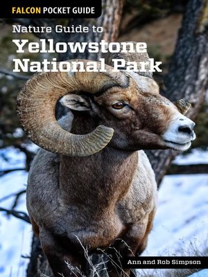 Nature Guide to Yellowstone National Park - ebook